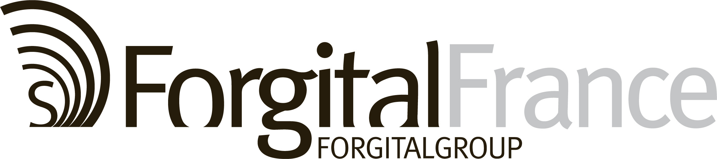 Forgital France